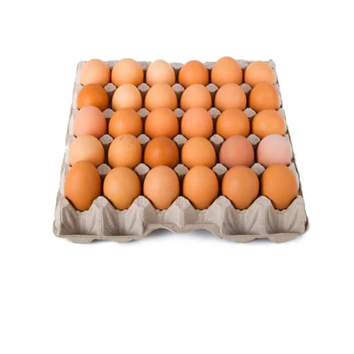 PONDEUSE EGGS PER PC